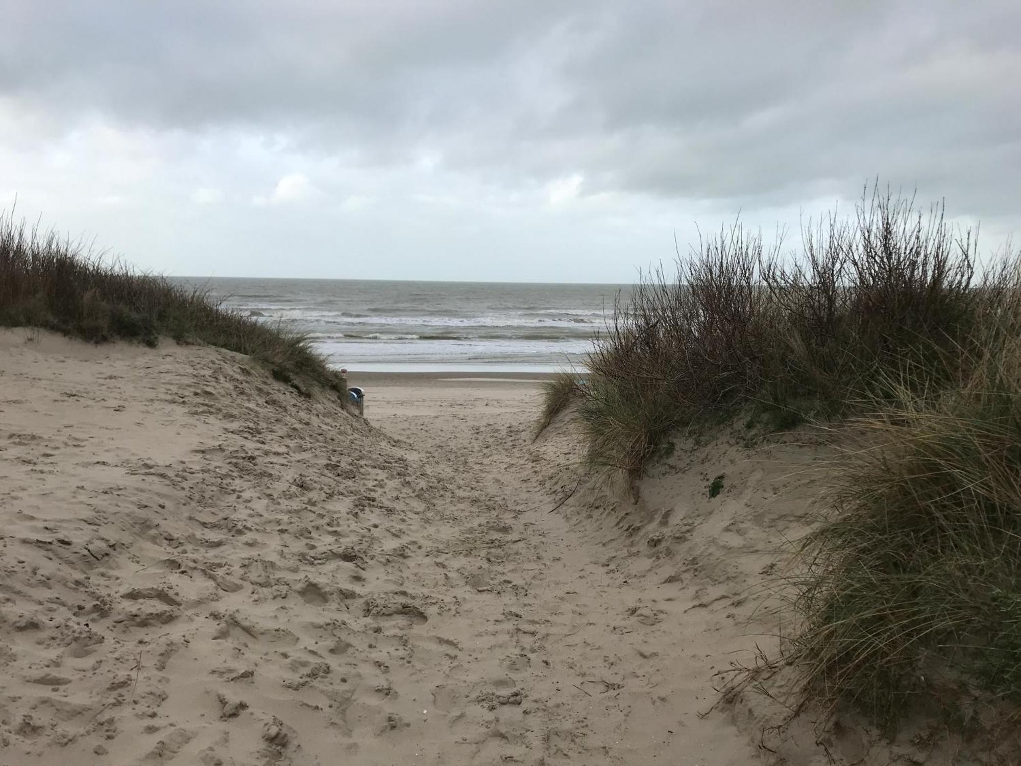Duplex Penthouse Super Zeezicht De Panne Exterior foto